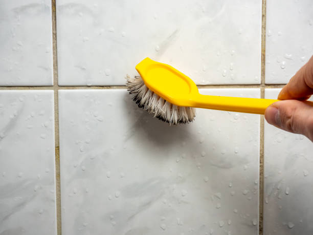 Best Black Mold Removal  in Bluffton, SC
