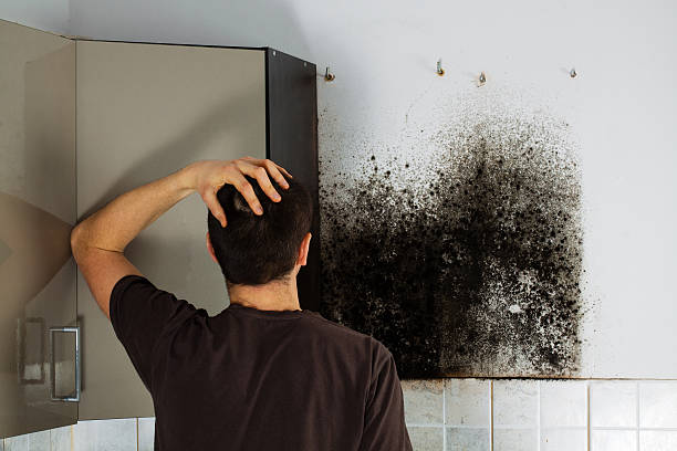 Best Crawl Space Mold Removal  in Bluffton, SC